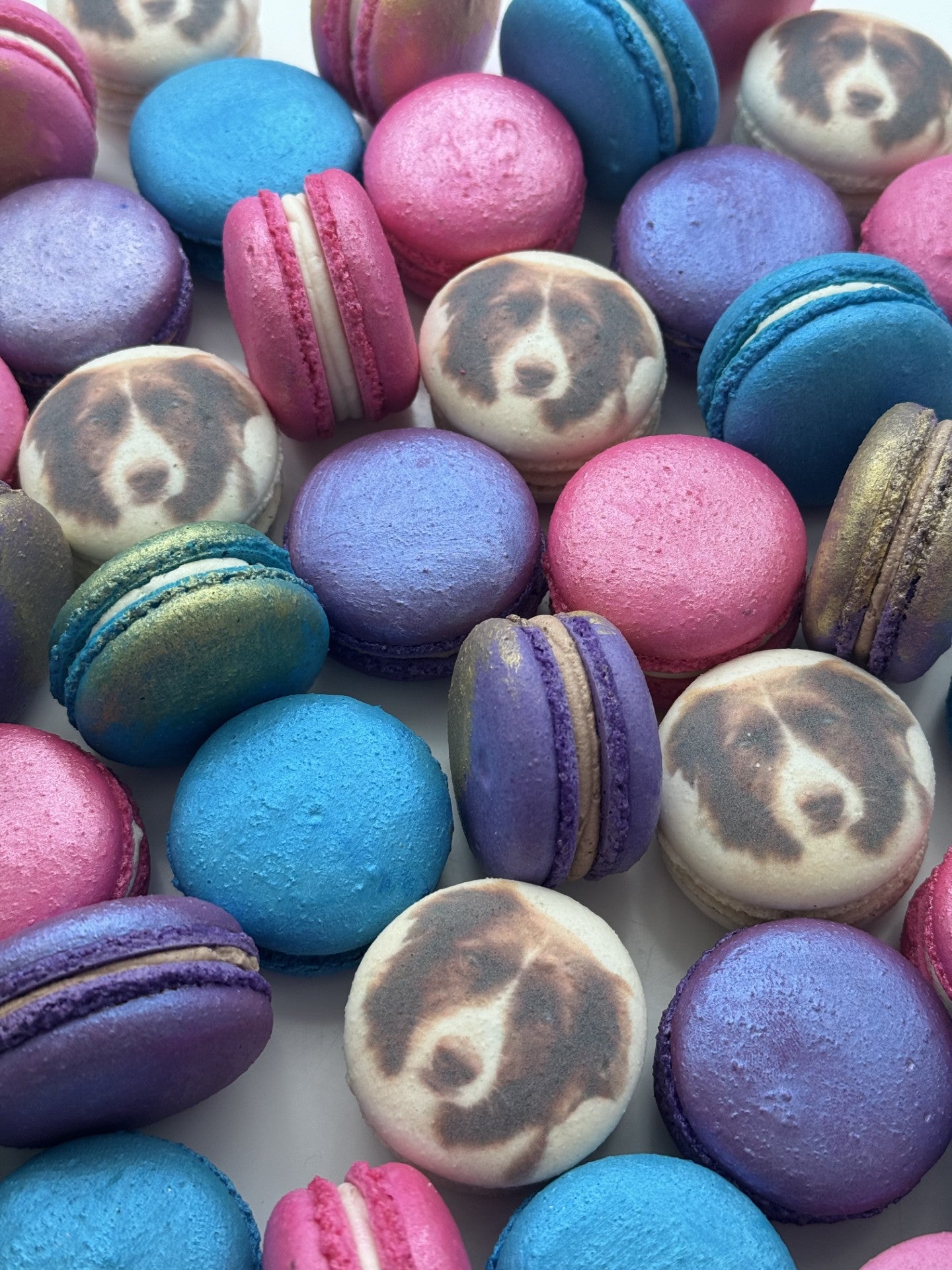 Macarons | Aycho Melange Macarons